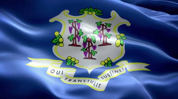 Connecticut State Flag