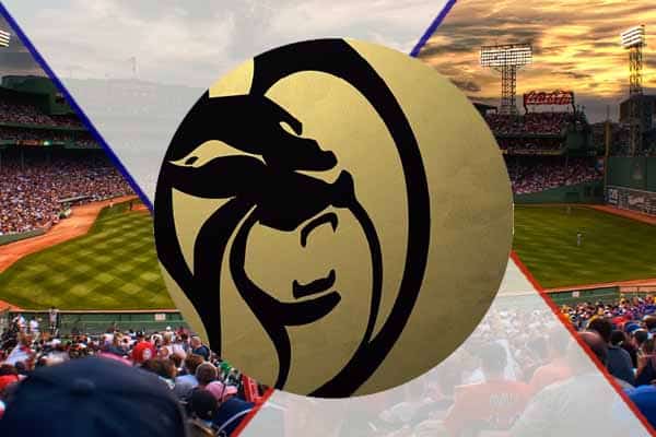 MGM logo on the field