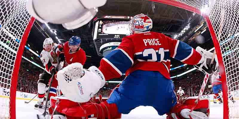 nhl-goalie NHL Goal