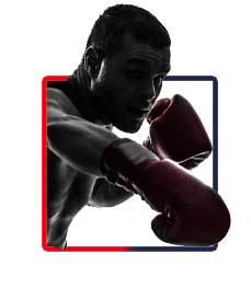 Boxing icon
