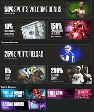 Mybookie Screenshot